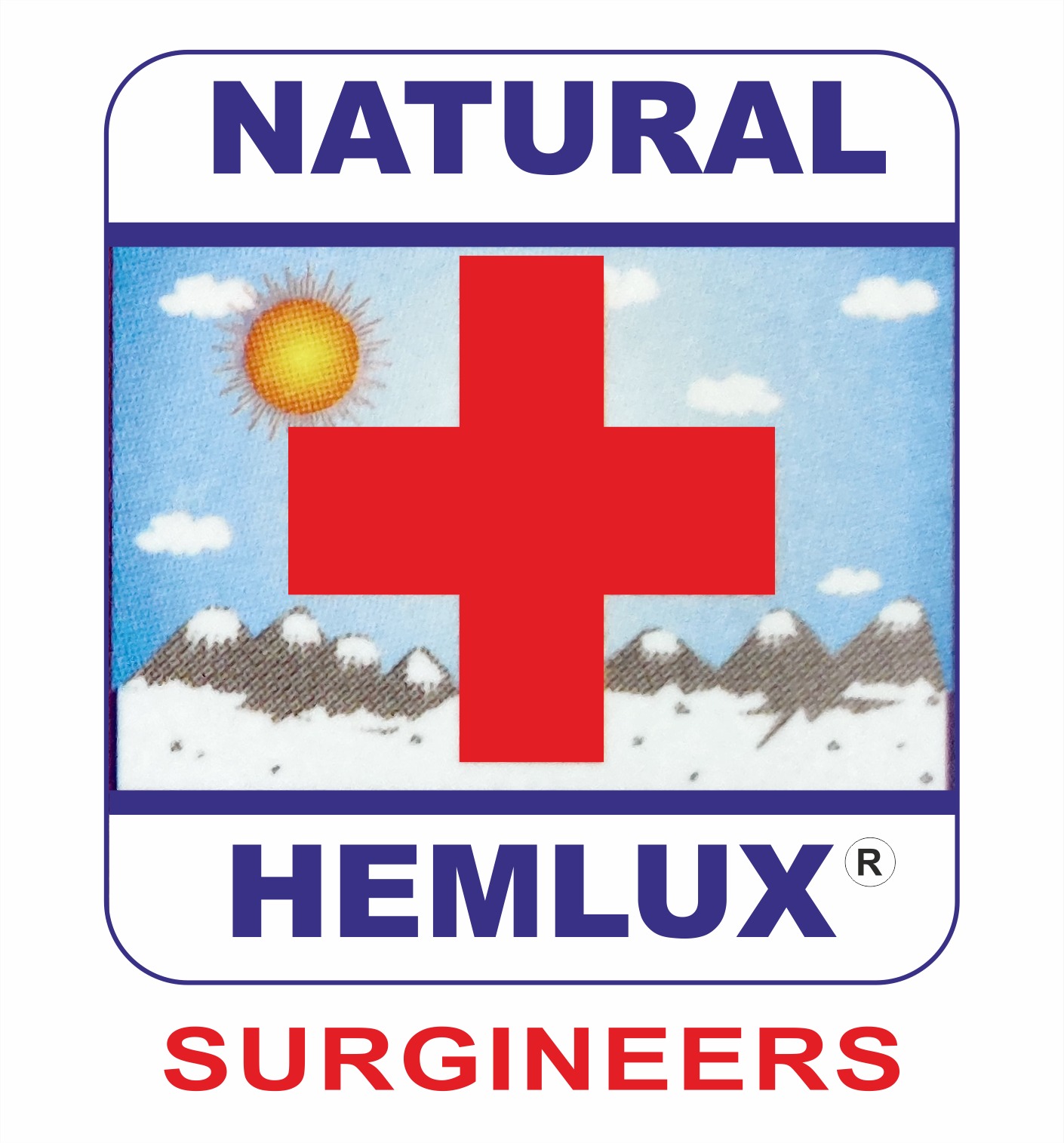 Hemlux Surgineers